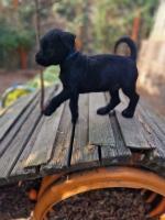 Bild "01IMG-20250810-WA0031.jpg"