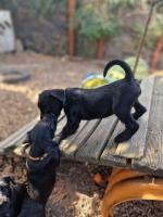 Bild "02IMG-20250810-WA0029.jpg"