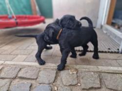 Bild "03IMG-20250810-WA0025.jpg"