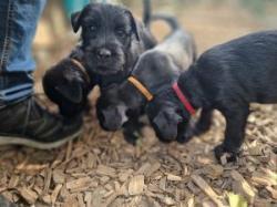 Bild "04IMG-20250810-WA0024.jpg"