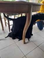 Bild "20250609_175924.jpg"