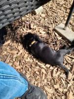 Bild "20250616_161909.jpg"