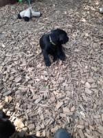 Bild "20250616_161937.jpg"