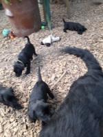 Bild "20250616_161957_-_Kopie.jpg"