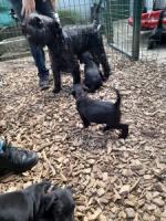 Bild "20250616_162008.jpg"