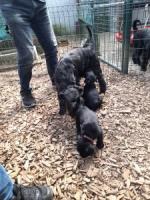 Bild "20250616_162015.jpg"