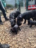 Bild "20250616_162019_-_Kopie.jpg"