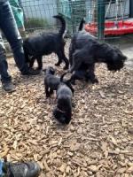 Bild "20250616_162023.jpg"