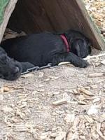 Bild "20250616_162201.jpg"