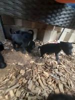 Bild "20250616_162214.jpg"