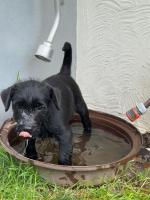 Bild "IMG-20250630-WA0014.jpg"