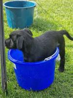 Bild "IMG-20250810-WA0015.jpg"