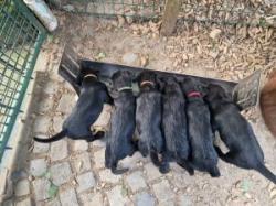 Bild "IMG-20250810-WA0021.jpg"