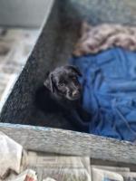 Bild "IMG-20250810-WA0026.jpg"