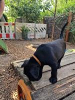 Bild "IMG-20250810-WA0027.jpg"