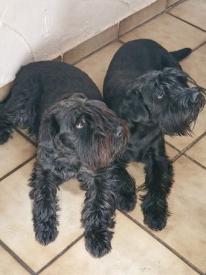 Bild "Start:IMG-20250810-WA0036.jpg"