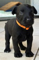 Bild "Start:w5_k.jpg"